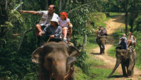Bali Elephanr Ride